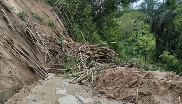 Akses jalan menghubungkan Serdang Putus Akibat tanah longsor